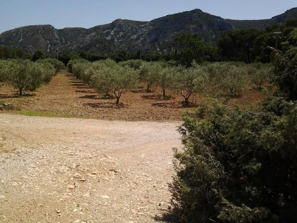 Le Mas Des Genets Saint-Rémy-de-Provence Buitenkant foto