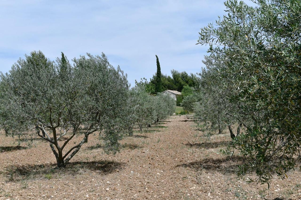 Le Mas Des Genets Saint-Rémy-de-Provence Buitenkant foto